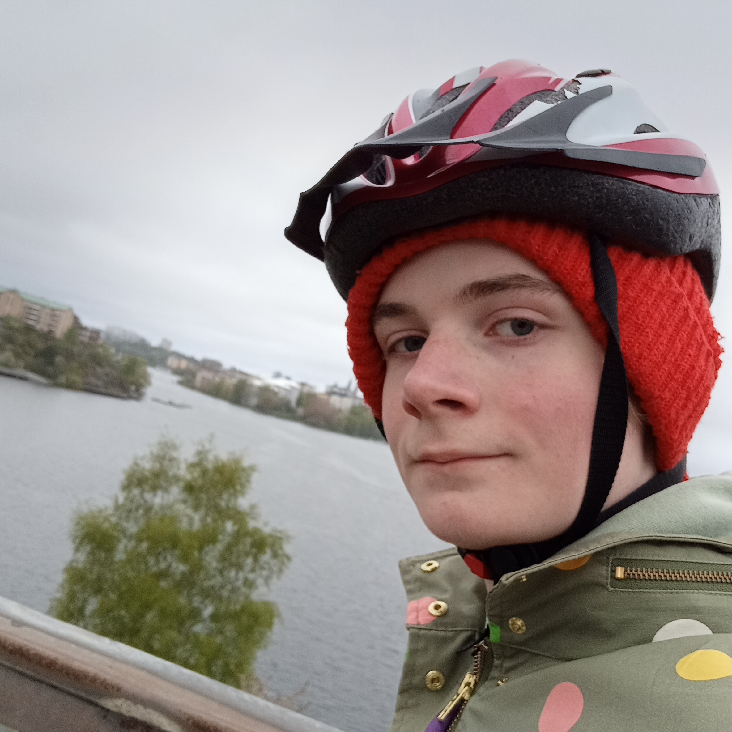 Image of Vilhelm Grill